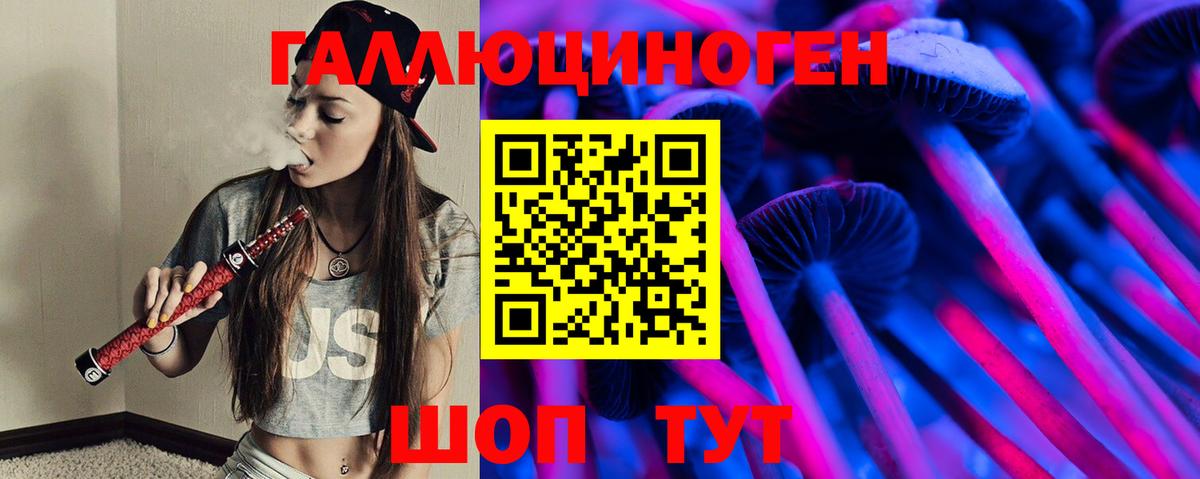 Галлюциногенные грибы Psilocybe Скопин