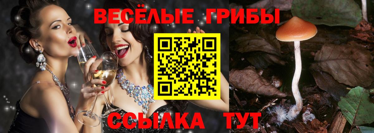 цена   Галлюциногенные грибы Magic Shrooms  Вход с VPN  Скопин 
